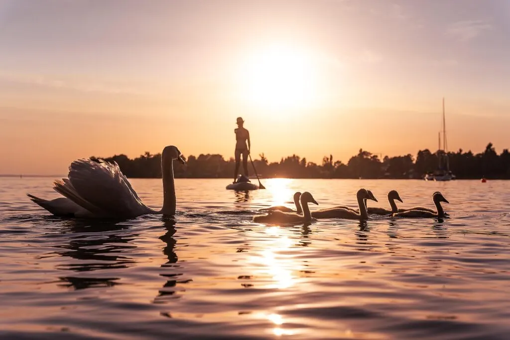 découvrez le lac du salagou, un site naturel unique en france, idéal pour les activités de plein air, la randonnée et les paysages remarquables.