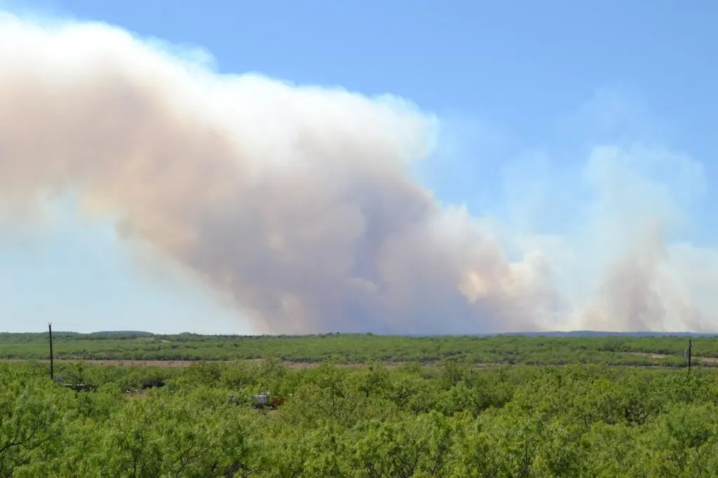 découvrez tout sur les incendies de forêt : causes, prévention, impacts environnementaux et conseils de sécurité pour protéger nos territoires.