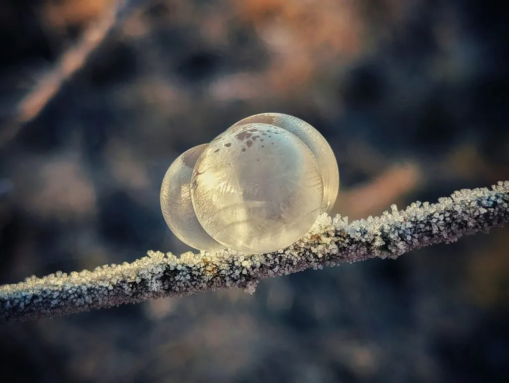 découvrez tout sur l'hiver : conseils météo, activités saisonnières, et astuces pour profiter pleinement de cette saison froide et magique.