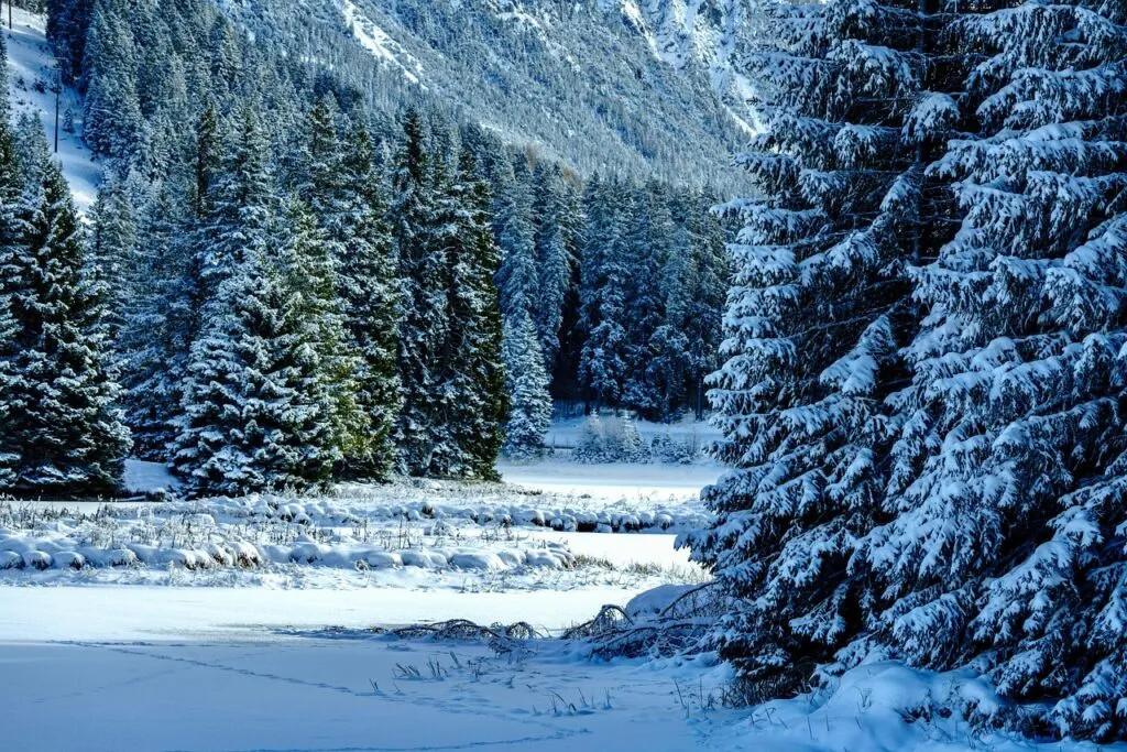 découvrez les restrictions d'eau en hiver dans le bassin de thau, leurs impacts et conseils pour économiser l'eau durant cette période critique.