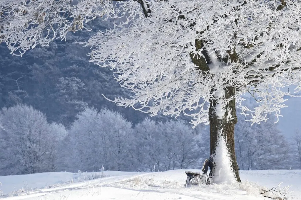 découvrez l'hiver : paysages enneigés, activités hivernales et conseils pour profiter pleinement de la saison froide.