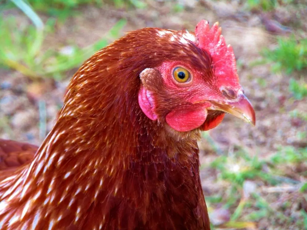 découvrez l'importance de la mobilisation agricole pour renforcer la production durable, soutenir les agriculteurs et assurer la sécurité alimentaire.