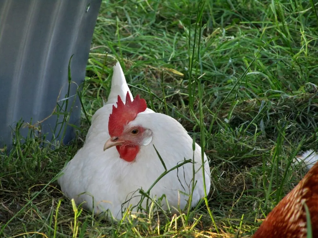 découvrez les stratégies et les avantages de la mobilisation agricole pour optimiser la production et soutenir le développement rural durable.