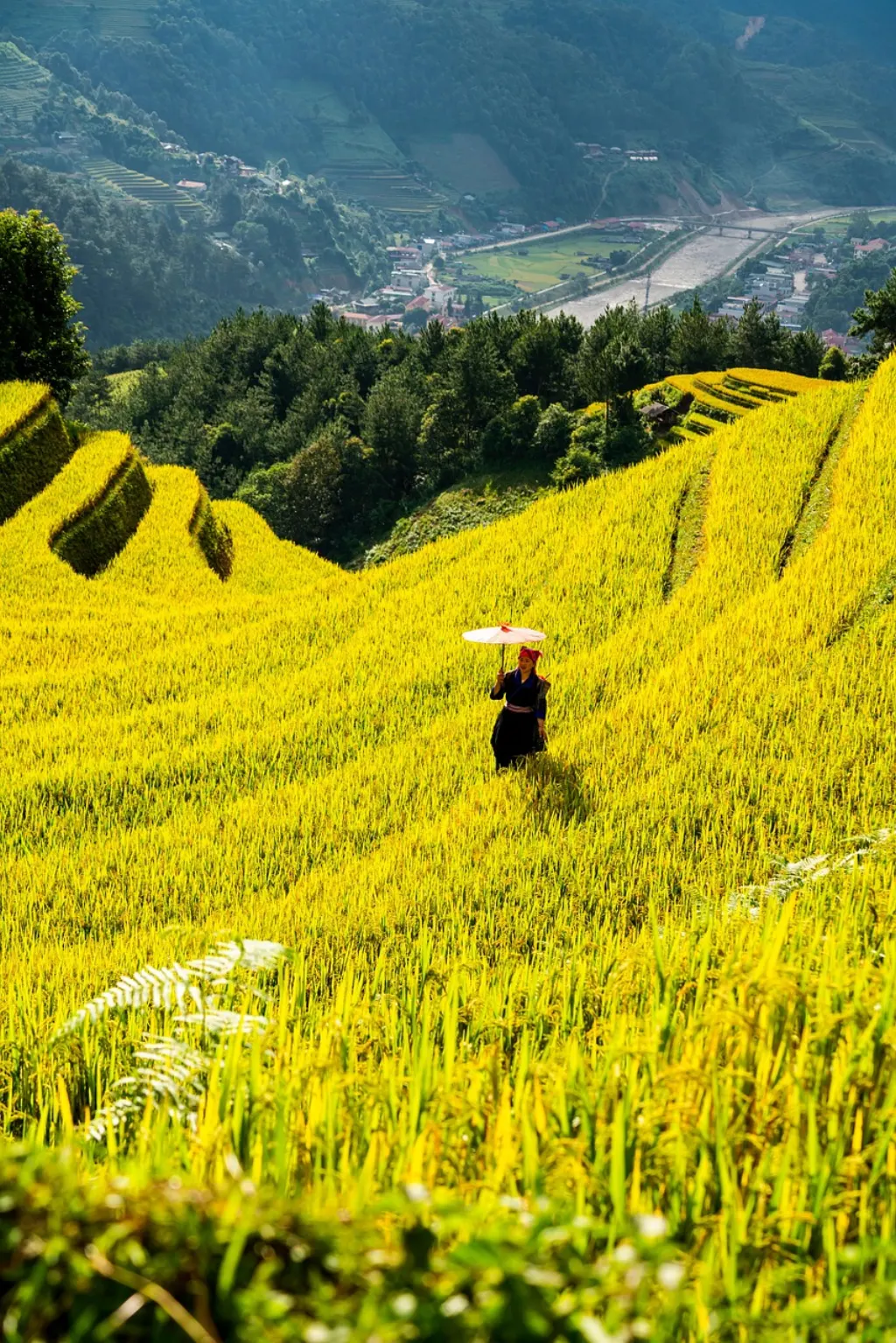 découvrez les dernières actualités, techniques et innovations en agriculture pour optimiser vos récoltes et promouvoir une agriculture durable.