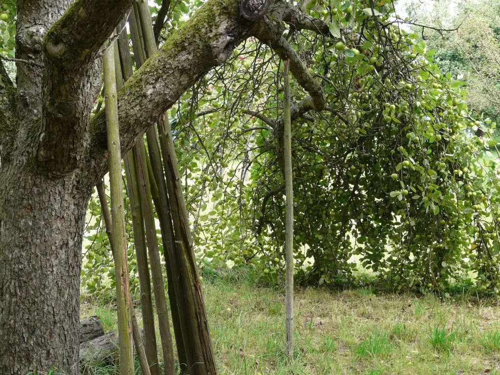 découvrez nos solutions de support en agriculture pour améliorer la productivité, optimiser les ressources et accompagner les agriculteurs vers une agriculture durable et innovante.