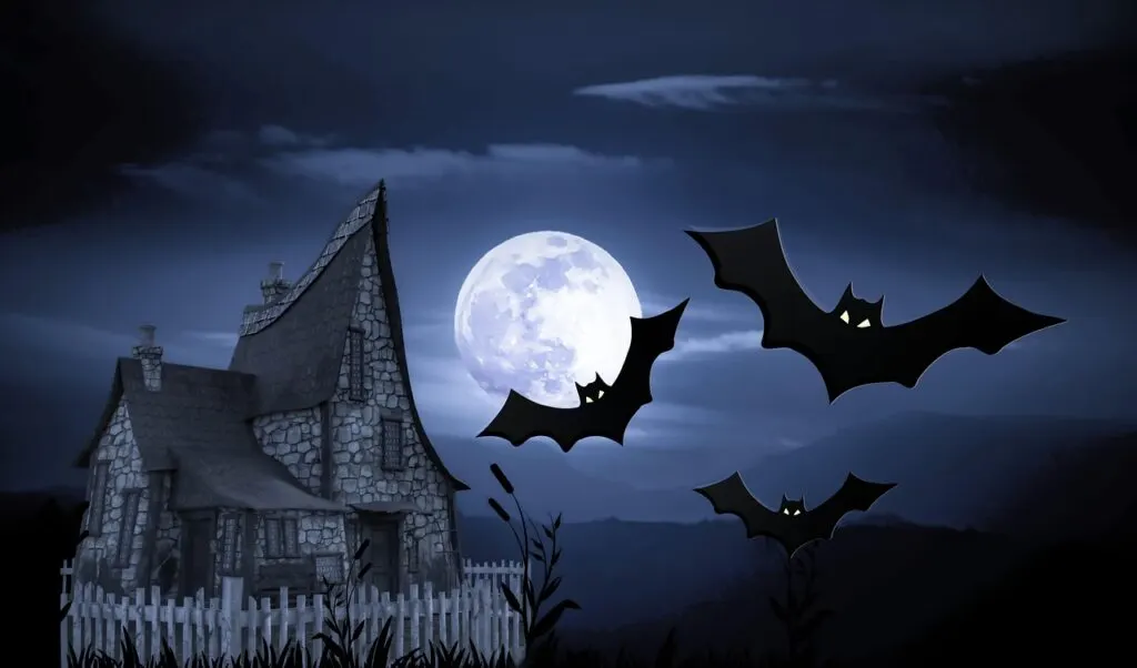 découvrez tout sur les chauves-souris : leur habitat, leur comportement nocturne et leur rôle essentiel dans l'écosystème.