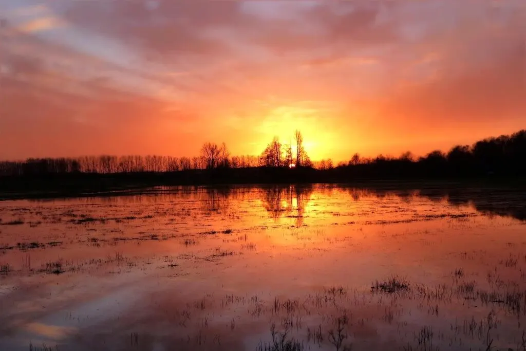 découvrez nos conseils pratiques et informations essentielles pour prévenir et gérer les risques d'inondation, protéger votre maison et assurer votre sécurité en cas de crue.