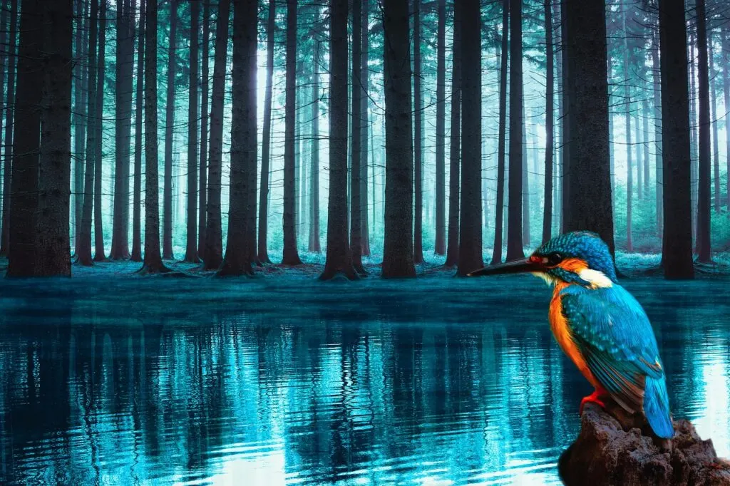 découvrez les mystères fascinants du lac mystérieux, un lieu enchanteur où la nature cache ses secrets les plus intrigants. plongez dans cette aventure unique au cœur d'un paysage captivant.