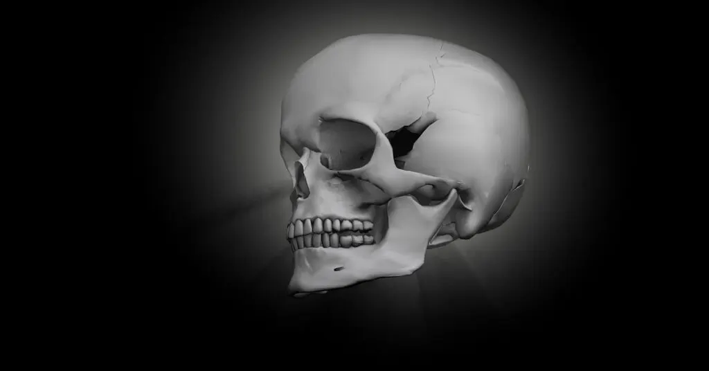 découvrez des perspectives profondes et des informations essentielles sur le thème de la mort, explorant ses aspects philosophiques, culturels et biologiques.