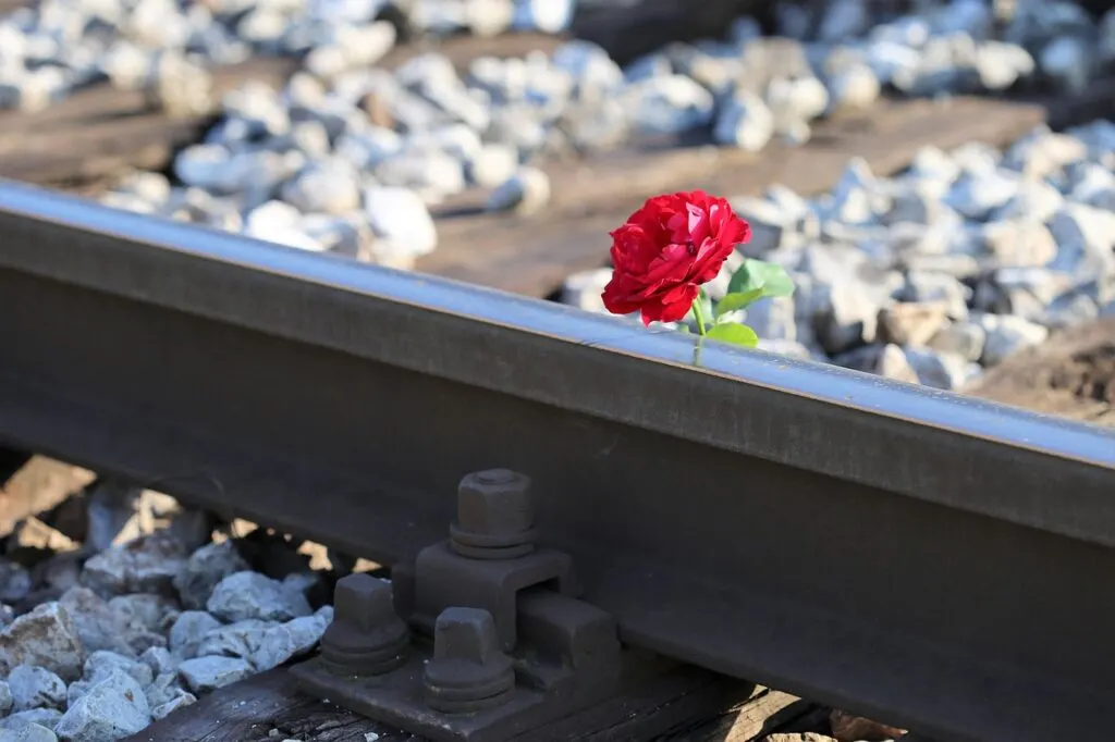 accident au passage à niveau : informations, causes fréquentes et conseils de sécurité pour éviter les collisions entre trains et véhicules.