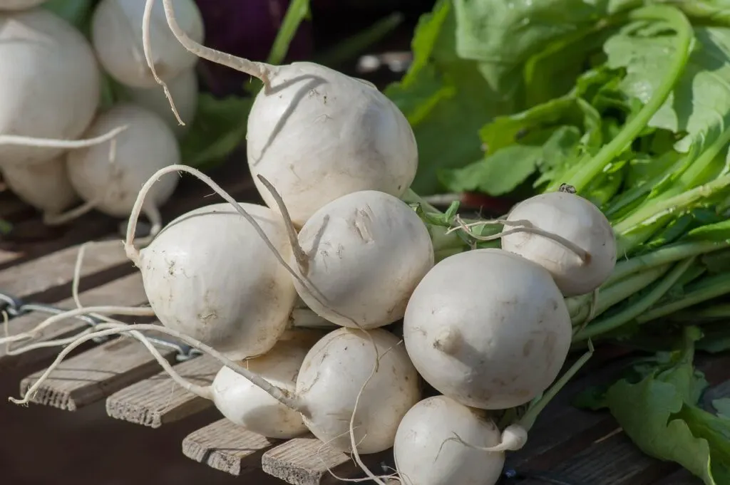 découvrez le monde des maraîchers : des experts passionnés qui cultivent fruits et légumes frais pour une alimentation saine et locale.