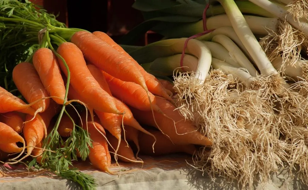 découvrez le métier de maraîcher : culture locale, savoir-faire durable et production de fruits et légumes frais pour une alimentation saine et écoresponsable.