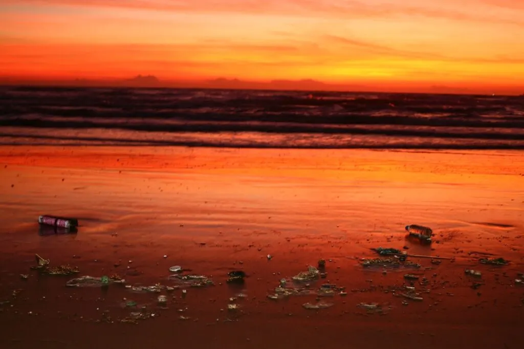 services professionnels de nettoyage environnemental pour restaurer et protéger la nature en éliminant les polluants et en favorisant un développement durable.