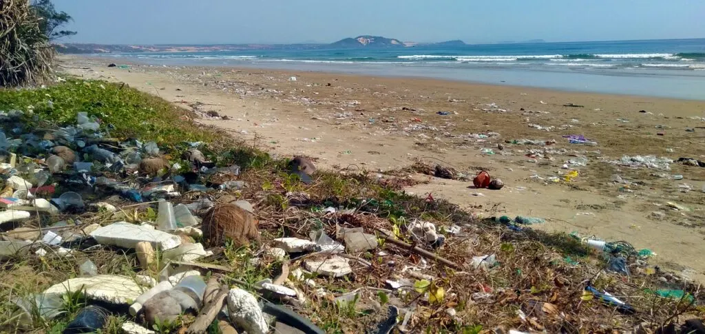 nettoyage environnemental : solutions efficaces pour restaurer et protéger les écosystèmes impactés par la pollution.