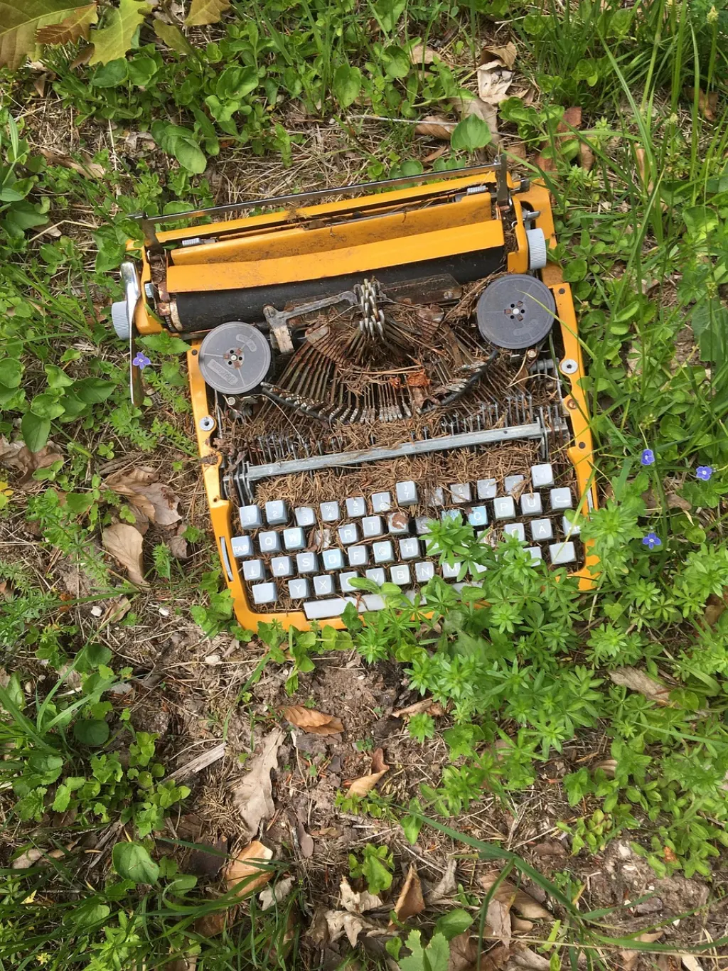 découvrez nos solutions efficaces pour le nettoyage environnemental, visant à restaurer et protéger la nature grâce à des techniques durables et innovantes.