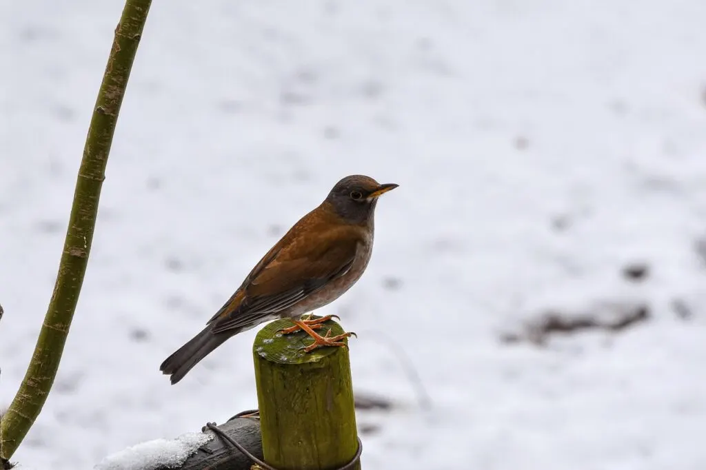 découvrez comment améliorer l'accessibilité des forêts pour tous, favoriser la protection de la nature et encourager des activités de plein air responsables.