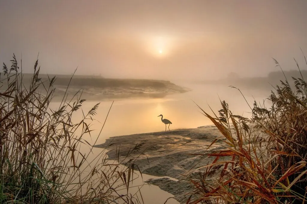 restauration des berges de la rivière libron : projet écologique visant à préserver la biodiversité et prévenir l'érosion pour un environnement durable.