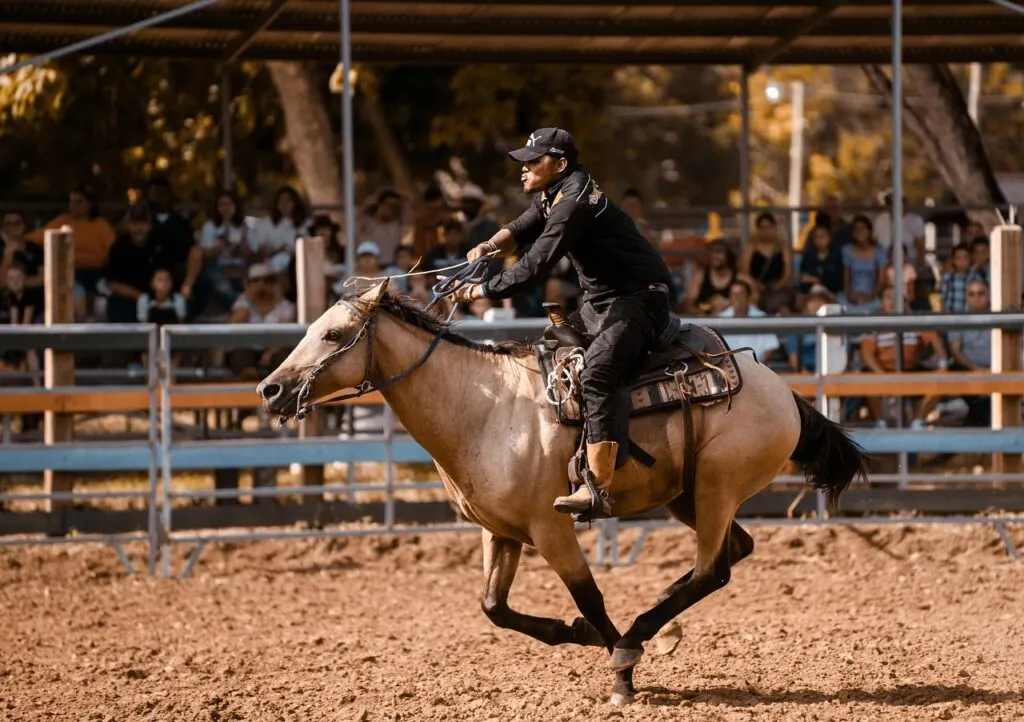 découvrez l'univers palpitant des rodéos : spectacles de montes de taureaux, compétitions équestres et traditions du far west pour toute la famille.