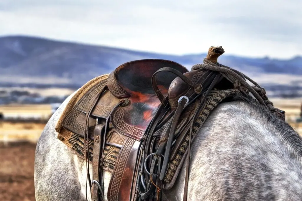 découvrez l'univers passionnant des rodéos, entre tradition et spectacle, avec des courses de taureaux, des montées de chevaux sauvages et des compétitions spectaculaires.