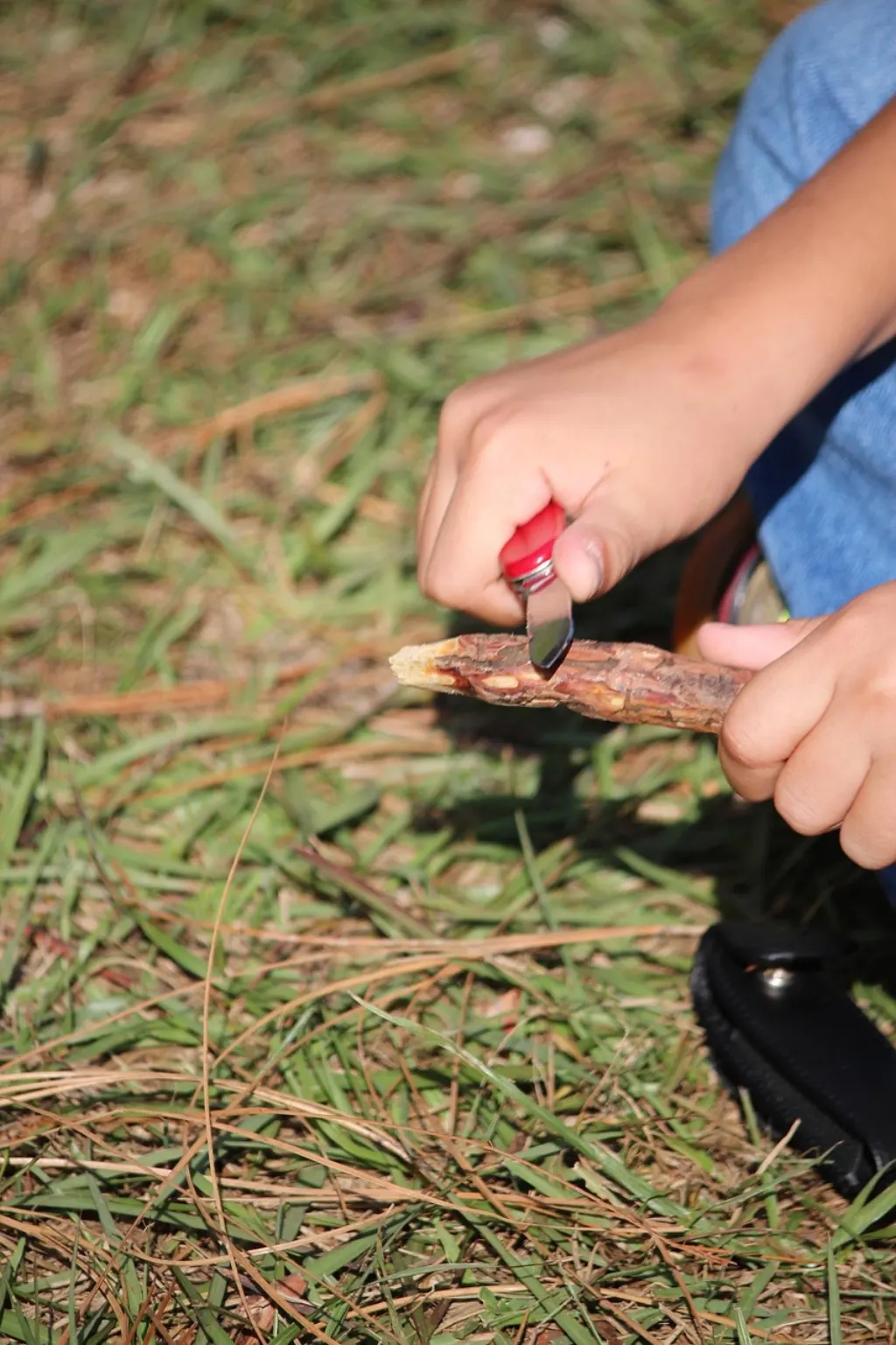 découvrez l'univers des scouts : aventure, camaraderie et engagement pour les jeunes passionnés de nature et de découverte.