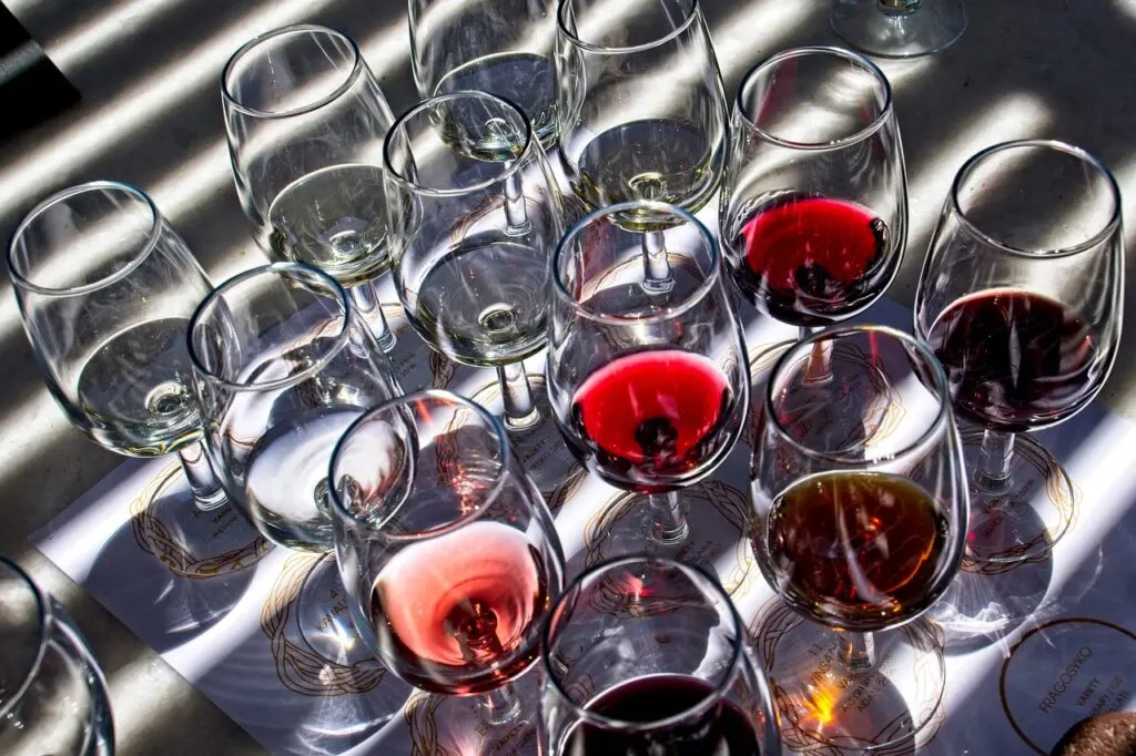 découvrez l'art de la dégustation de vin : explorez des saveurs uniques, apprenez à reconnaître les arômes et profitez d'une expérience œnologique inoubliable.