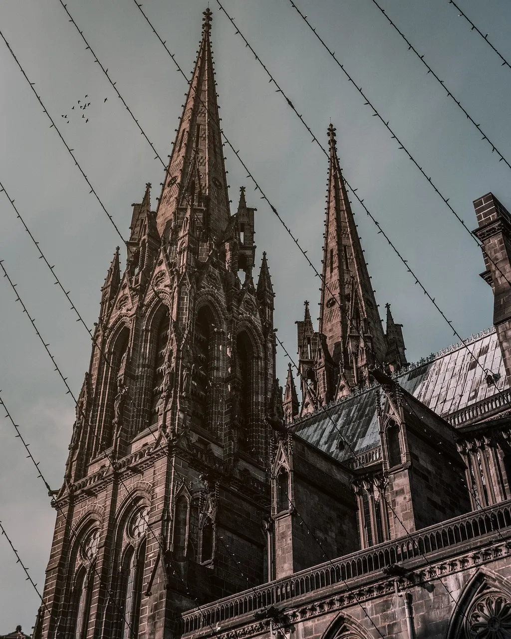 découvrez clermont-l'hérault, une charmante ville du sud de la france alliant patrimoine historique, nature préservée et gastronomie locale.