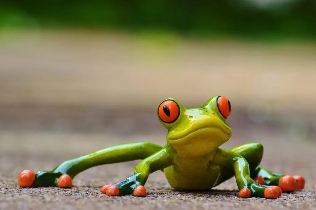 découvrez nos actions dédiées au sauvetage des grenouilles et à la préservation de leur habitat naturel. agissez avec nous pour protéger ces amphibiens essentiels à la biodiversité.