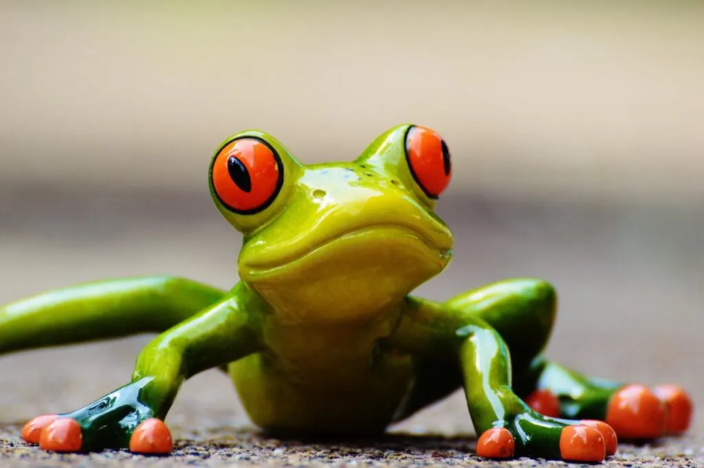 découvrez nos actions de sauvetage des grenouilles pour protéger ces amphibiens essentiels à la biodiversité et leur habitat naturel.