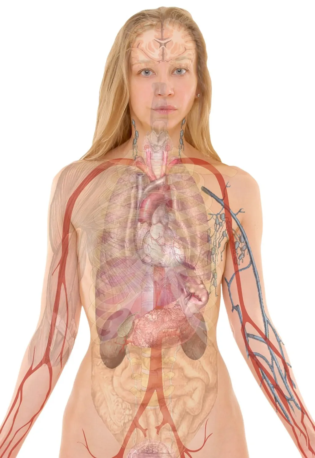 découvrez tout sur la profession infirmière : formation, compétences, carrières et conseils pour réussir dans le domaine des soins infirmiers.