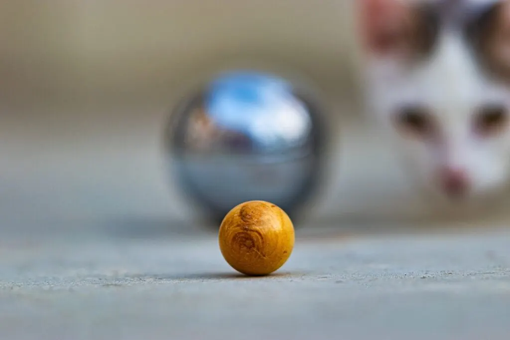 découvrez tout sur la pétanque : règles, techniques, astuces et lieux pour pratiquer ce jeu traditionnel français convivial et passionnant.
