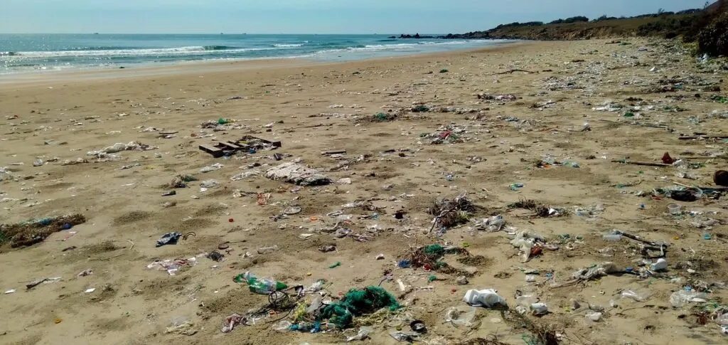 service professionnel de nettoyage des déchets pour un environnement propre et sain. solutions efficaces pour l'élimination des déchets en toute sécurité.