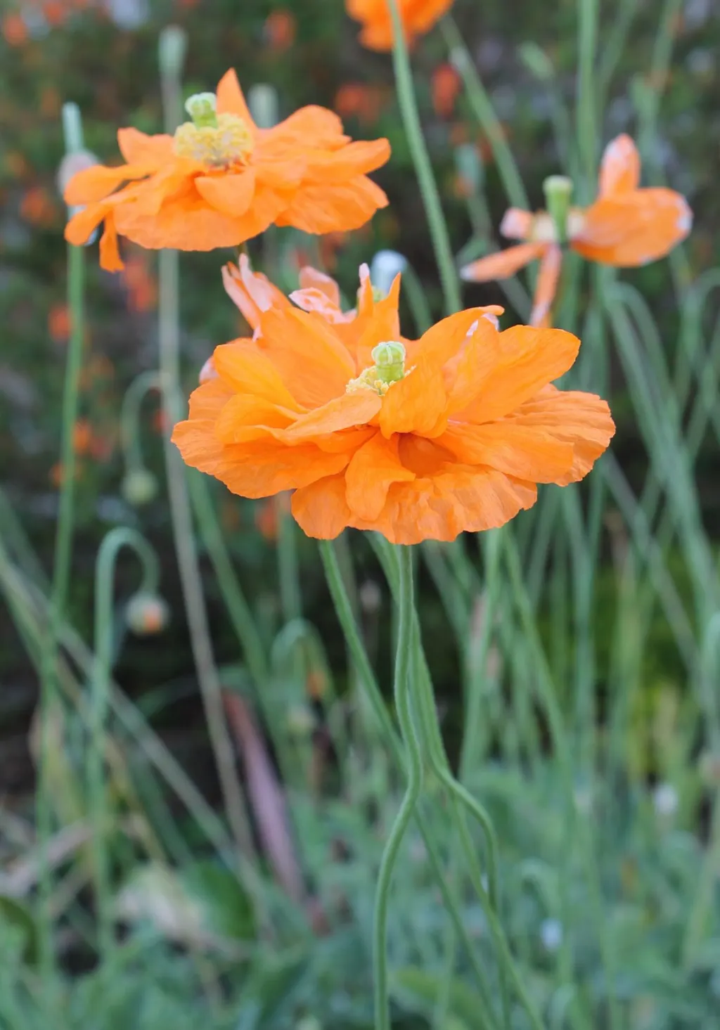 découvrez le profil et les réalisations de flore liaud, une experte passionnée dans son domaine, proposant des solutions innovantes et un savoir-faire reconnu.