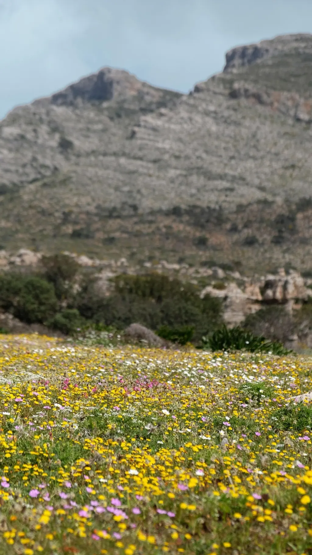 découvrez le geopark, un site naturel exceptionnel alliant géologie, patrimoine culturel et paysages spectaculaires pour des aventures inoubliables.