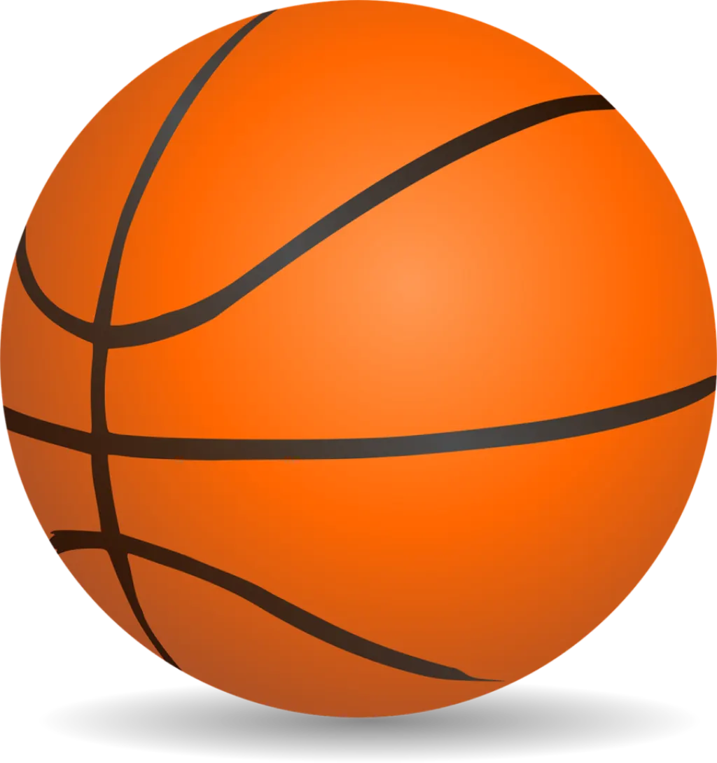 suivez les finales de basketball de l'hérault : matchs intenses, équipes locales en compétition et passion du sport en direct.