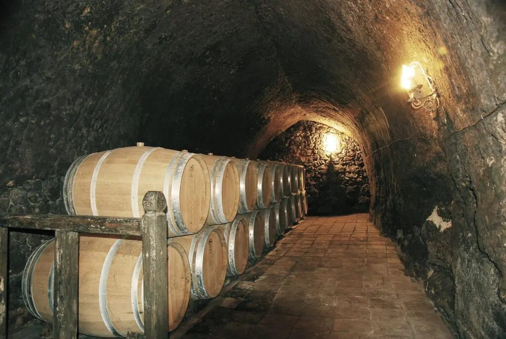 découvrez les vignobles d'hérault, une région viticole riche en saveurs et en traditions, idéale pour les amateurs de vins authentiques et de paysages magnifiques.