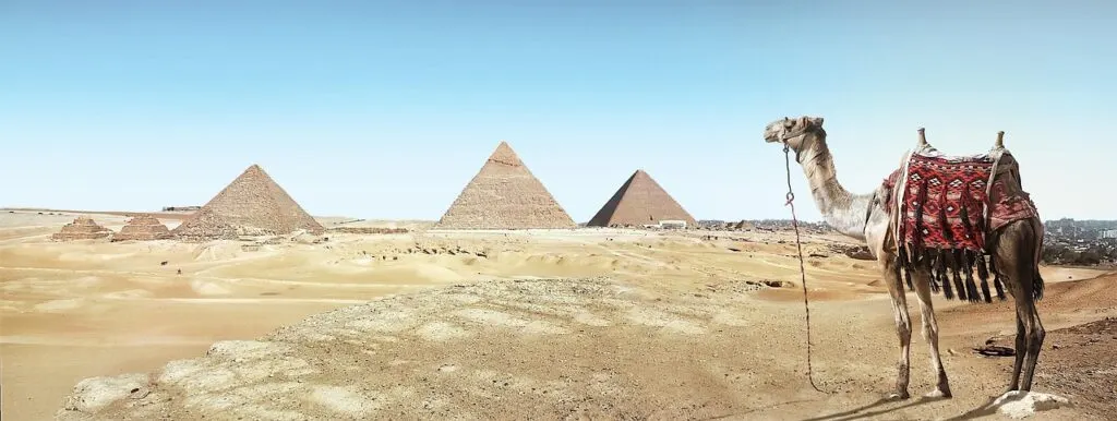 découvrez les mystères du passé avec l'archéologie : exploration des civilisations anciennes, fouilles et découvertes qui révèlent l'histoire de l'humanité.
