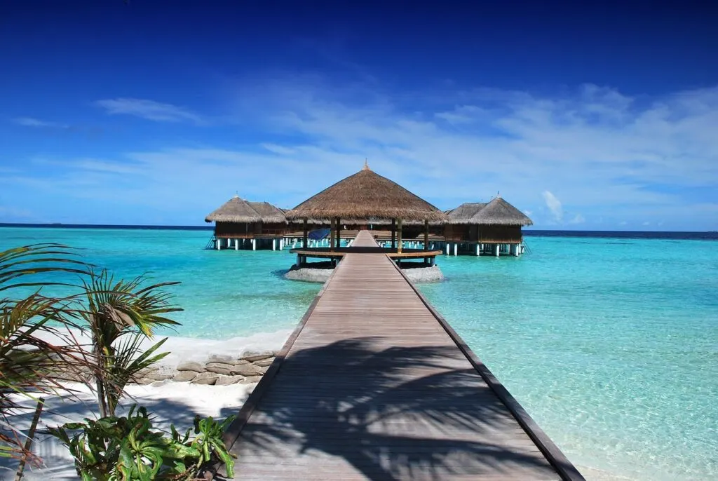 découvrez notre beach resort, un havre de paix en bord de mer offrant des hébergements confortables, des activités nautiques variées et un cadre idyllique pour des vacances inoubliables.