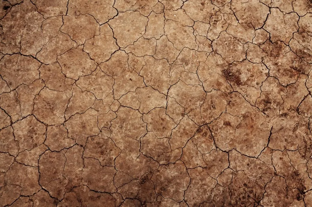 découvrez les causes, impacts et solutions face à la sécheresse, un phénomène climatique majeur affectant l'environnement et l'agriculture.