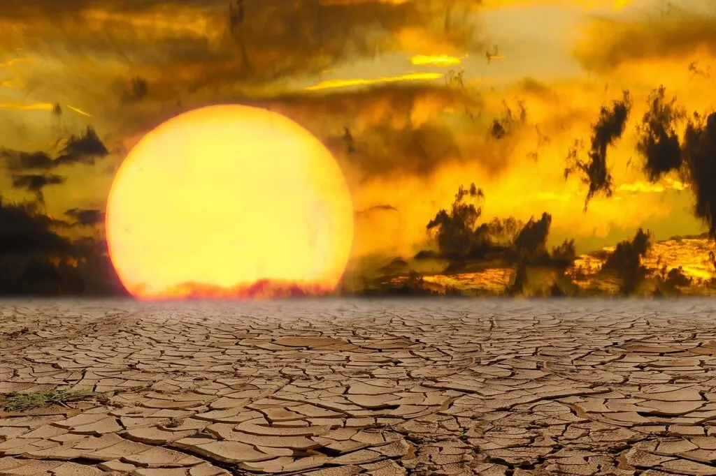 découvrez nos conseils et astuces pour faire face à la canicule, rester au frais et protéger votre santé lors des vagues de chaleur estivales.