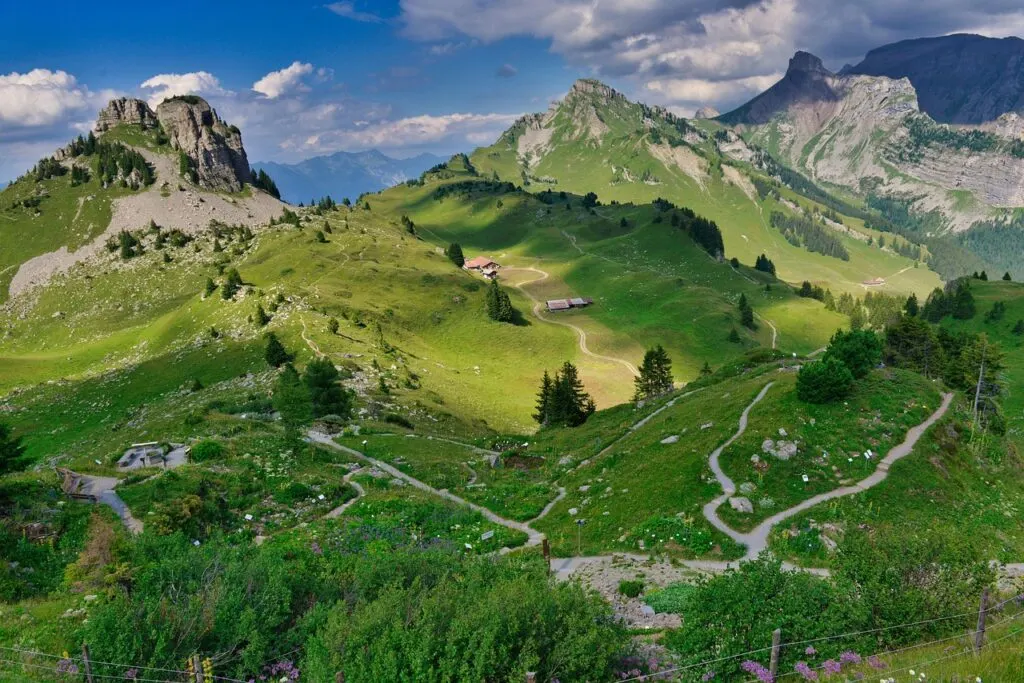 découvrez les meilleures randonnées estivales pour profiter pleinement de la nature, du soleil et des paysages magnifiques durant l'été.