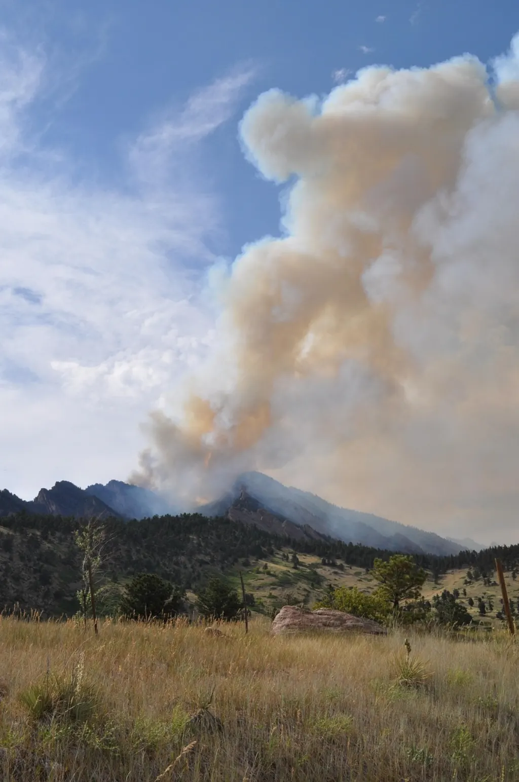 découvrez tout sur les incendies de forêt : causes, prévention, impacts environnementaux et conseils de sécurité pour protéger vos proches et la nature.