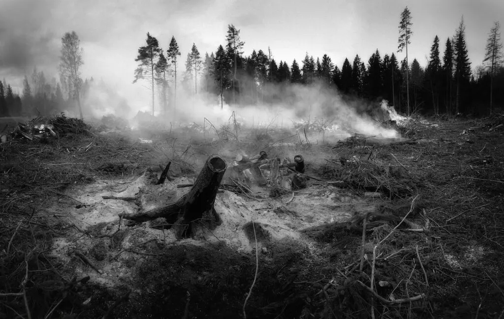 découvrez les causes, impacts et mesures de prévention des feux de forêt pour mieux comprendre et agir face à ce phénomène naturel destructeur.