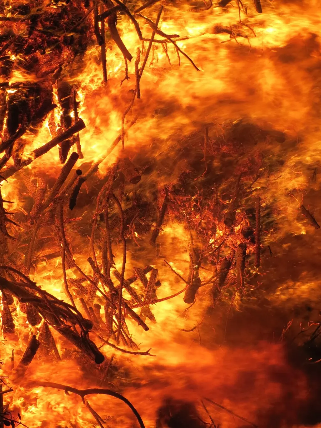 découvrez les causes, les conséquences et les mesures de prévention des feux de forêt pour mieux comprendre et agir face à ce phénomène naturel dévastateur.