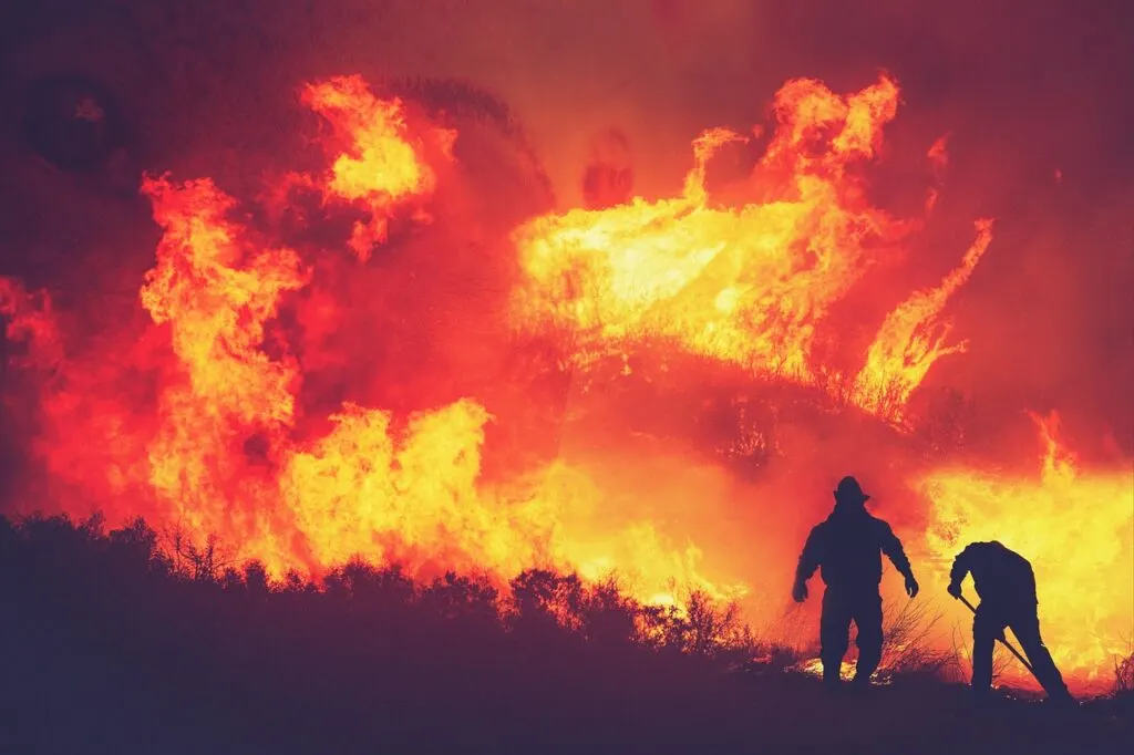 découvrez les causes, les impacts et les solutions pour les feux de forêt, un phénomène naturel aux conséquences dramatiques.