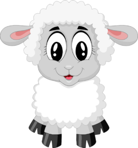 Prévention de la fièvre catarrhale ovine : le préfet de l’Hérault appelle les éleveurs à vacciner leurs troupeaux