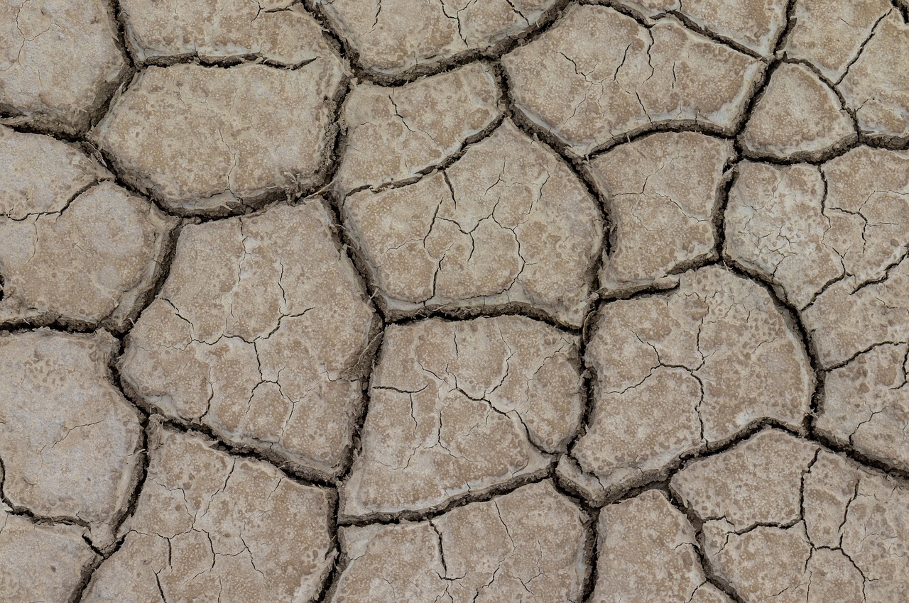 découvrez les enjeux et les impacts de la sécheresse : des causes climatiques aux conséquences économiques, en passant par des solutions durables pour préserver notre environnement.