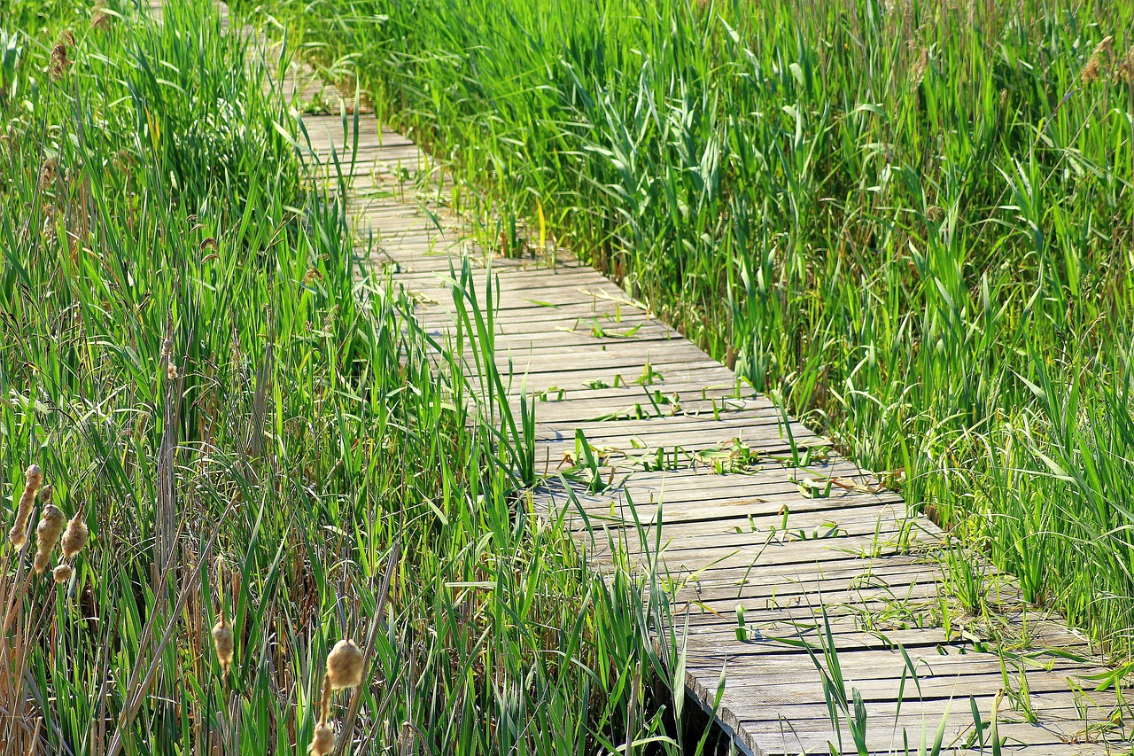 découvrez l'univers des passerelles, ces structures innovantes alliant design et fonctionnalité. explorez les différents types de passerelles, leurs usages, et comment elles transforment les espaces urbains et naturels pour le confort des piétons.
