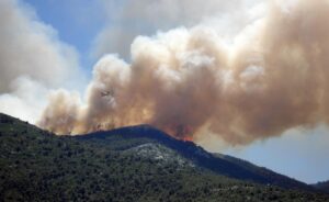 Prévention des Incendies de Forêt : Le Débroussaillage Devenu Incontournable dans Toutes les Communes de l’Hérault