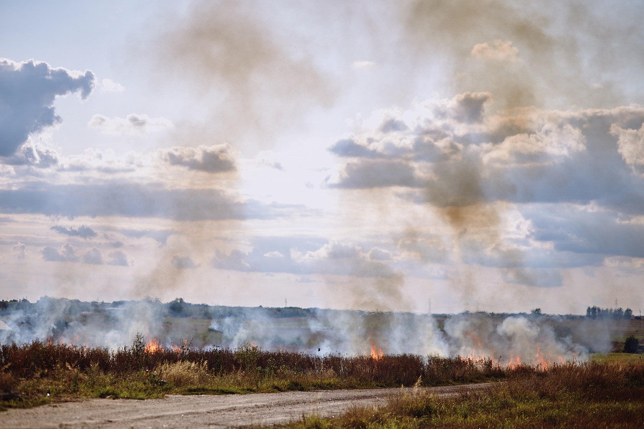 découvrez l'univers des pompiers, ces héros du quotidien qui risquent leur vie pour sauver celle des autres. apprenez-en davantage sur leur formation, leurs missions et leur engagement envers la sécurité de la communauté.