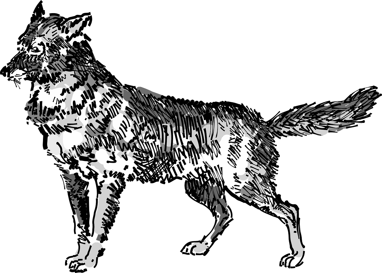 découvrez le chacal doré, un animal fascinant aux multiples facettes. apprenez-en plus sur son habitat, ses comportements et son rôle dans l'écosystème, ainsi que sur les menaces qui pèsent sur cette espèce emblématique. plongez dans l'univers du chacal doré et explorez son importance pour la biodiversité.